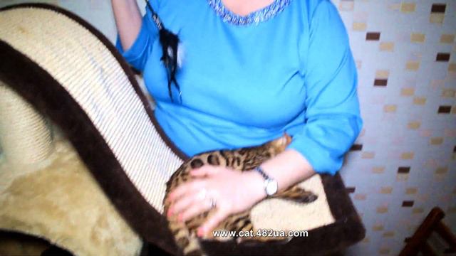 Идеальные условия для котенка, ЭКО условия,  Dakota Gold, март 2020 смотреть онлайн