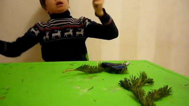 как сделать букет из еловых веток! смотреть онлайн
