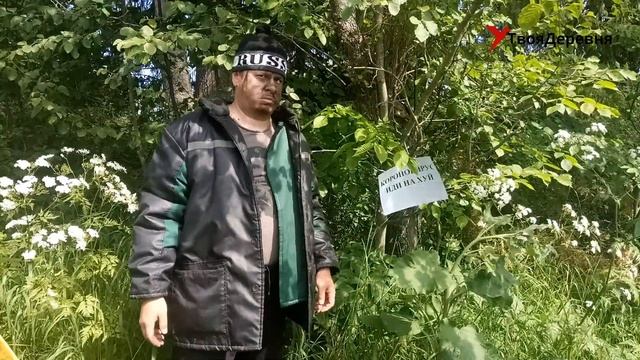 Удмуртские отшельники. Самоизоляция.