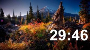 ТАЙМЕР ⏰ на 60 минут со звуком