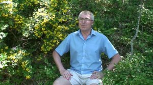 6.3. Михаил Салтыков-Щедрин - сказка ПРЕМУДРЫЙ ПЕСКАРЬ. Владимир Колесников