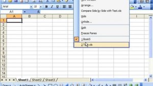 Excel 2003 Tutorial Managing Multiple Woorkbooks Microsoft Training Lesson 2.12