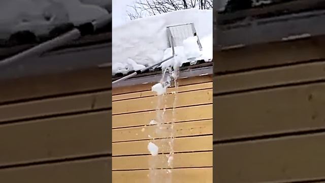 Белгородский снегорез с обратным клапаном в Димитрове. смотреть онлайн