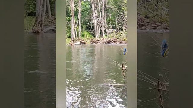 05.07.2022 р.Стеклянуха смотреть онлайн