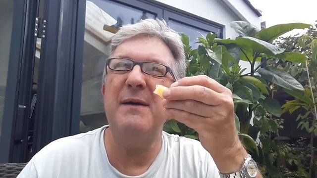 Tasting a Pepino ( Solanum Muricatum ) for the first time ever смотреть онлайн