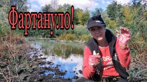 Коп 2020. Вот это я удачно зашла!