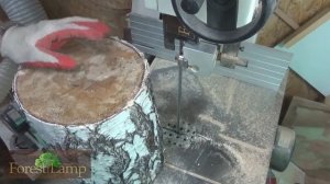 Простой способ как быстро сделать из березового пня  за 15 минут Как сделать скворечник своими рука