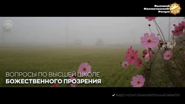 #БлагоВест ✴ Духовное Движение