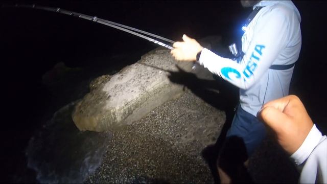 Ловля лаврака (сибаса) на спиннинг в Черном море / Black sea seabass (labrax) game