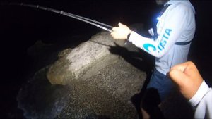 Ловля лаврака (сибаса) на спиннинг в Черном море / Black sea seabass (labrax) game