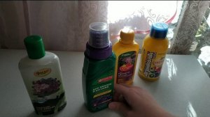 ПОДКОРМКИ ДЛЯ ЯРКОГО И БЕСКОНЕЧНОГО ЦВЕТЕНИЯ ФИАЛОК. ПРАВИЛА ВВЕДЕНИЯ УДОБРЕНИЙ ДЛЯ ФИАЛОК.