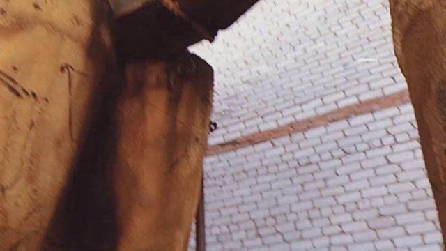 Умираю не с тобою в постели - Курящих нет (кавер на заброшенном заводе :)) смотреть онлайн