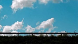 Стили руководства туристических предприятий (стили управления)