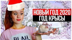 НОВЫЙ ГОД 2020!  ГОД КРЫСЫ!  КОРОЧЕ ГОВОРЯ, НОВЫЙ ГОД!