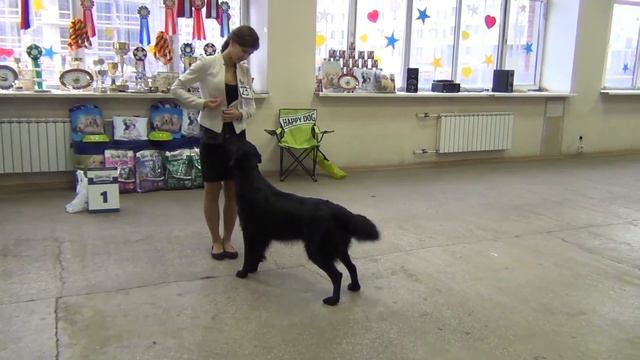 РРК-осень 2013 Суки Победители смотреть онлайн