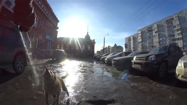 Перцовый баллончик Контроль УМ против Собак, Перец,г.Омск Город глазами велосипедиста #125 смотреть онлайн