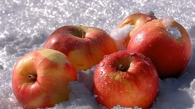 Зимние сорта яблок, хранящиеся до весны смотреть онлайн