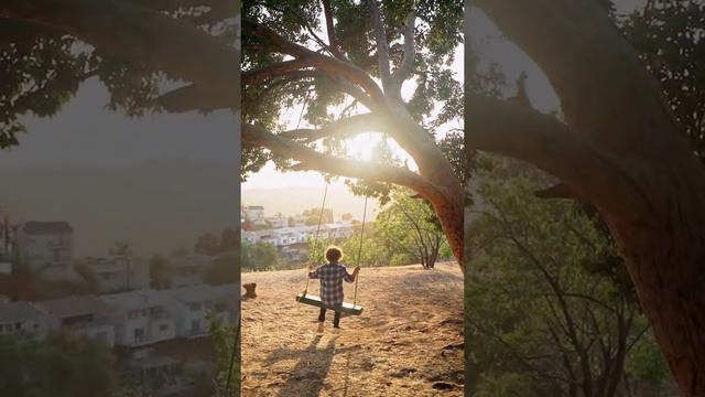 A Boy Riding on a Swing Tied on a Big Tree #personalcare