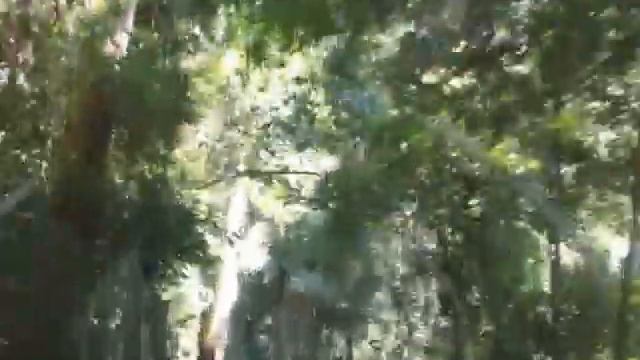 электро сани смотреть онлайн