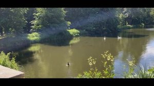 "Королевские Лазенки" - Лучший Парк в Варшаве