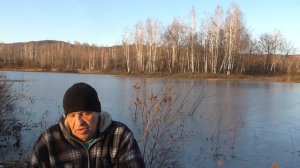 Находчивый кулик , рассказ для детей