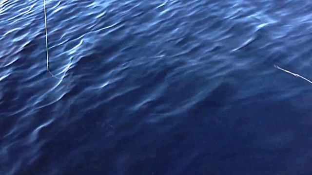 Копия видео Щука. 6.1 кг. Карелия. Август 2015. смотреть онлайн