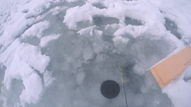 Рыбалка май 2019 река Силигир ЧАСТЬ ПЕРВАЯ смотреть онлайн