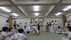 capoeira chapa giratoria.wmv