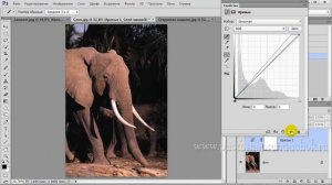 Покоритель кривых 13 Практическое установление полноконтрастности и хроматического баланса