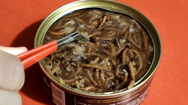 Как брать в руки эублефаров /содержание и уход смотреть онлайн