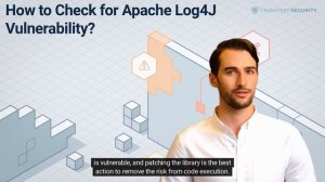 Check for Log4J CVE-2021-44228 Vulnerability - a Short Guide