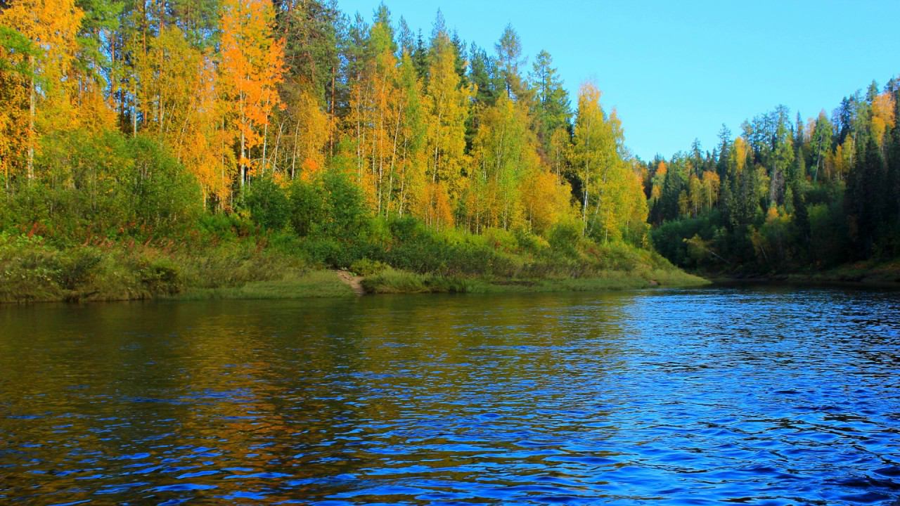 музыка и видео для релаксации красивая музыка Речки Мезенского Притиманья