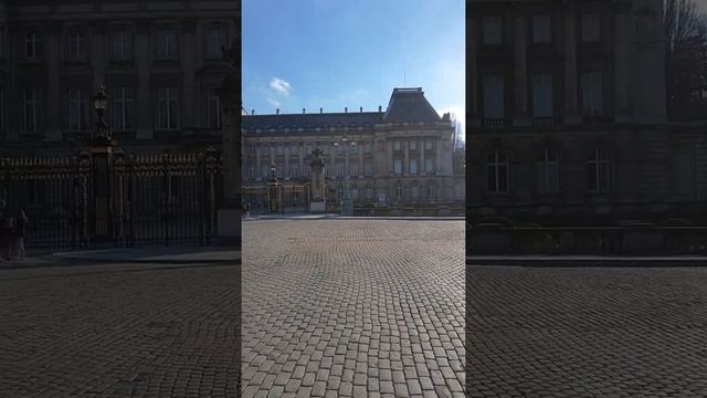 ✅?? #Королевский_дворец в Брюсселе // #Palais_Royal de Bruxelles ?? #shorts