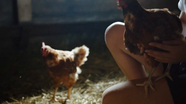 КЕТО ДИЕТА список продуктов | Идем за продуктами | Продукты для похудения 6+ смотреть онлайн