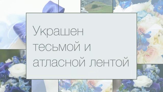 Свадебный кулечек для лепестков Gilliann Magic COS025