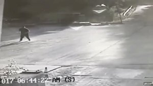 Нападение бешеной лисы / Mad fox attack