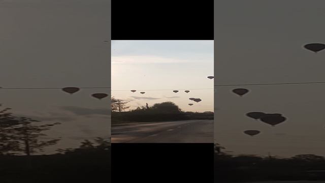 В Нижегородской обл. сегодня было так. Множество воздушных шаров в вечернем небе.