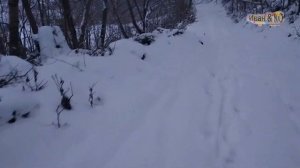 Модернизация санок. Дышло для тормоза и управления.