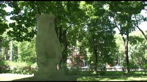 КГМУ - лучший! Фасады КГМУ.