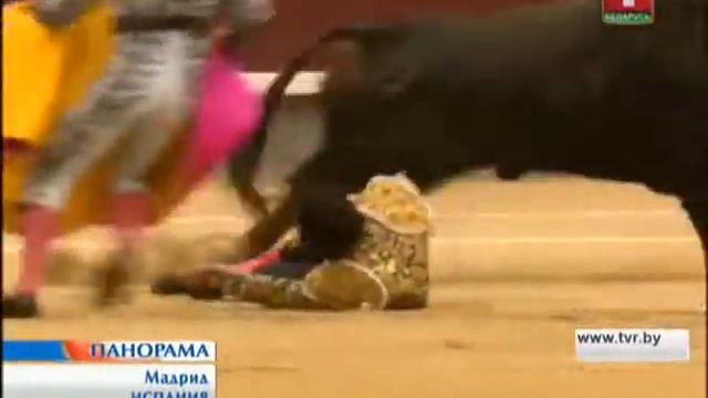 Бык покалечил матадора! смотреть онлайн