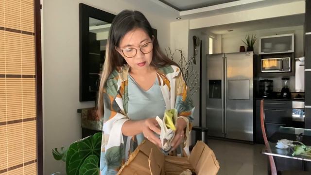 My Plantita Journey Vlog #10 - Unboxing new additions to my Caladium collection смотреть онлайн