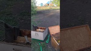 как исправить трутовку