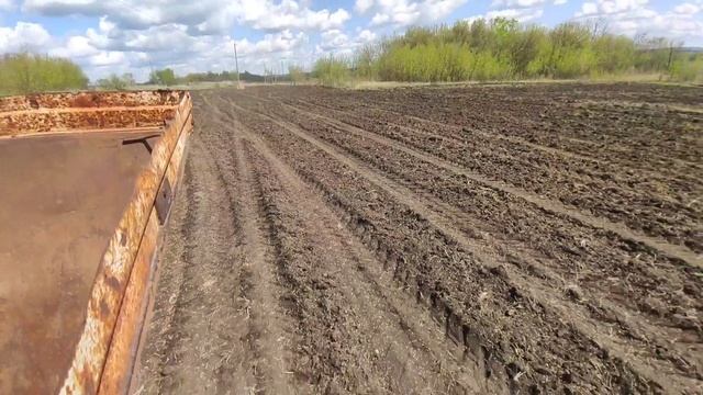 Посев травосмеси РУМом. результат.