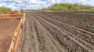 Посев травосмеси РУМом. результат.