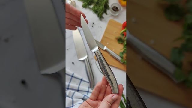 Набор ножей из нержавеющей стали для кухни TalleR TR-22080 Трио. Обзор и технические характеристики