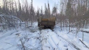 Газ 66 за дровами offroad СИБИРЬ