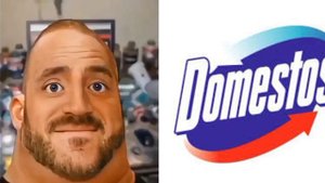 Твой старый логотип доместос это: