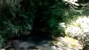 Исток реки Каянча (Уба)