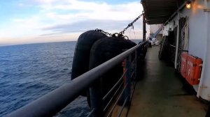 Летник, Дальмос 11 августа 2022 Охотское море.
