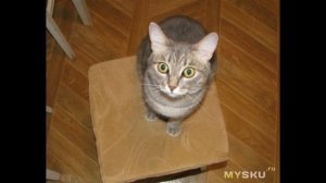 Поляризационные очки для ночного вождения | #Обзор